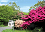 Aberdunant Country Park in Porthmadog, Gwynedd, North Wales