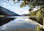 Loch Eck Lodges in West Scotland